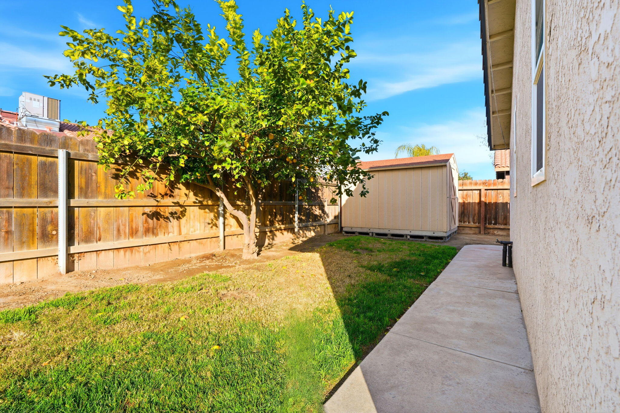 952 Scotland Street Lemoore, CA 93245 - Photo 49 of 53 Backyard