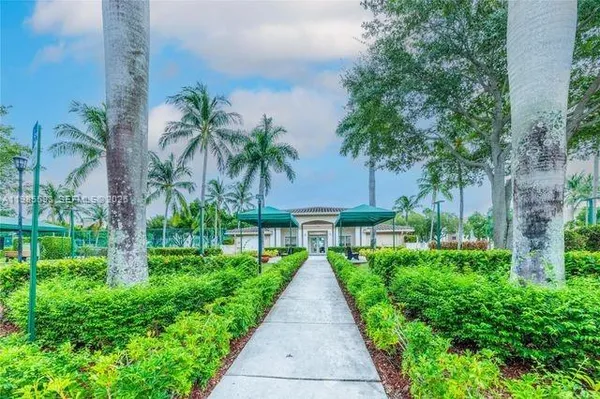 a view of a garden with palm trees