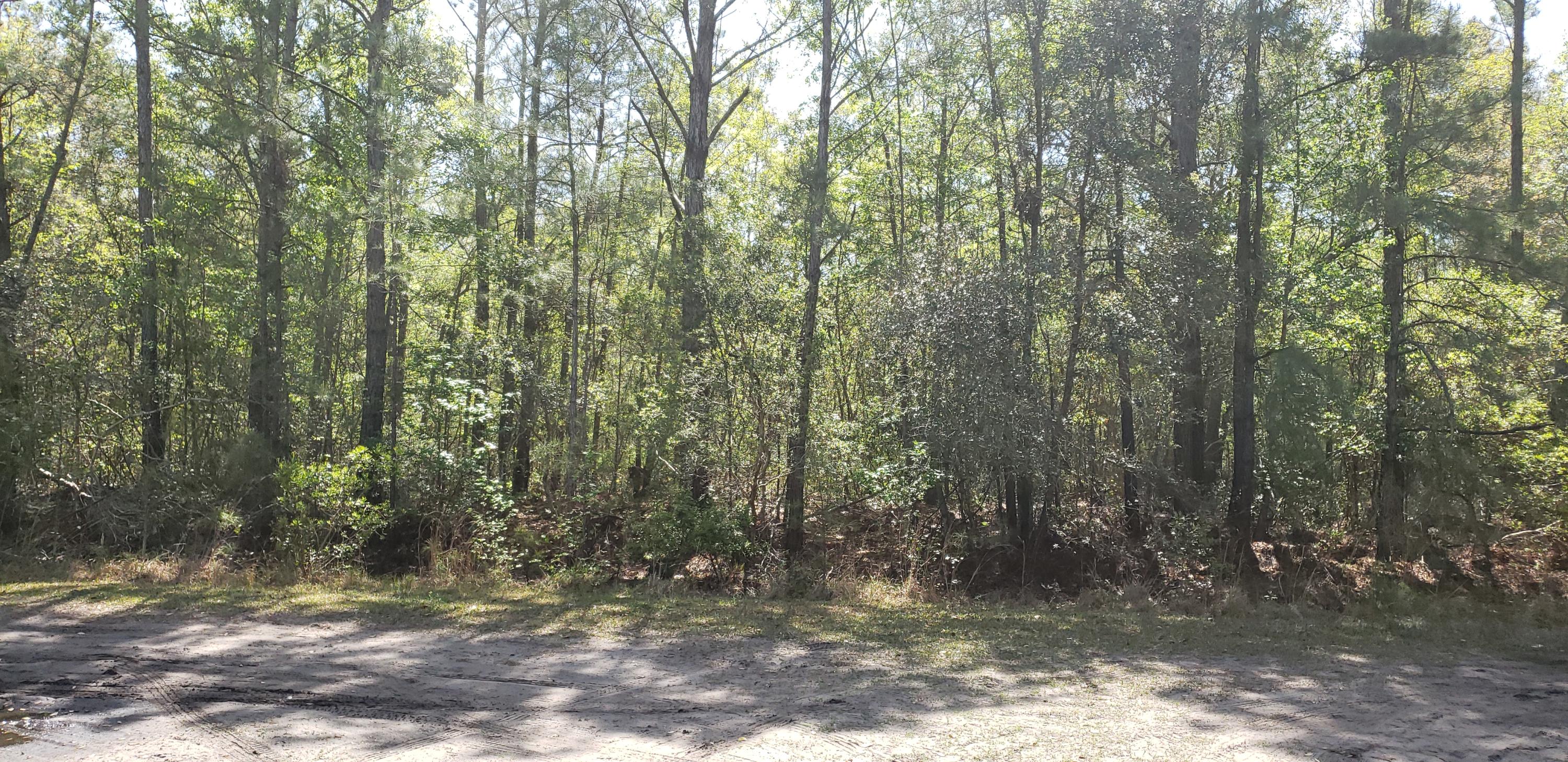 Lot 8 Louis Miles Road Johns Island, SC 29455 - Photo 3 of 4 Front of property