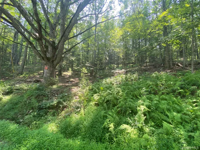 a view of outdoor space and trees