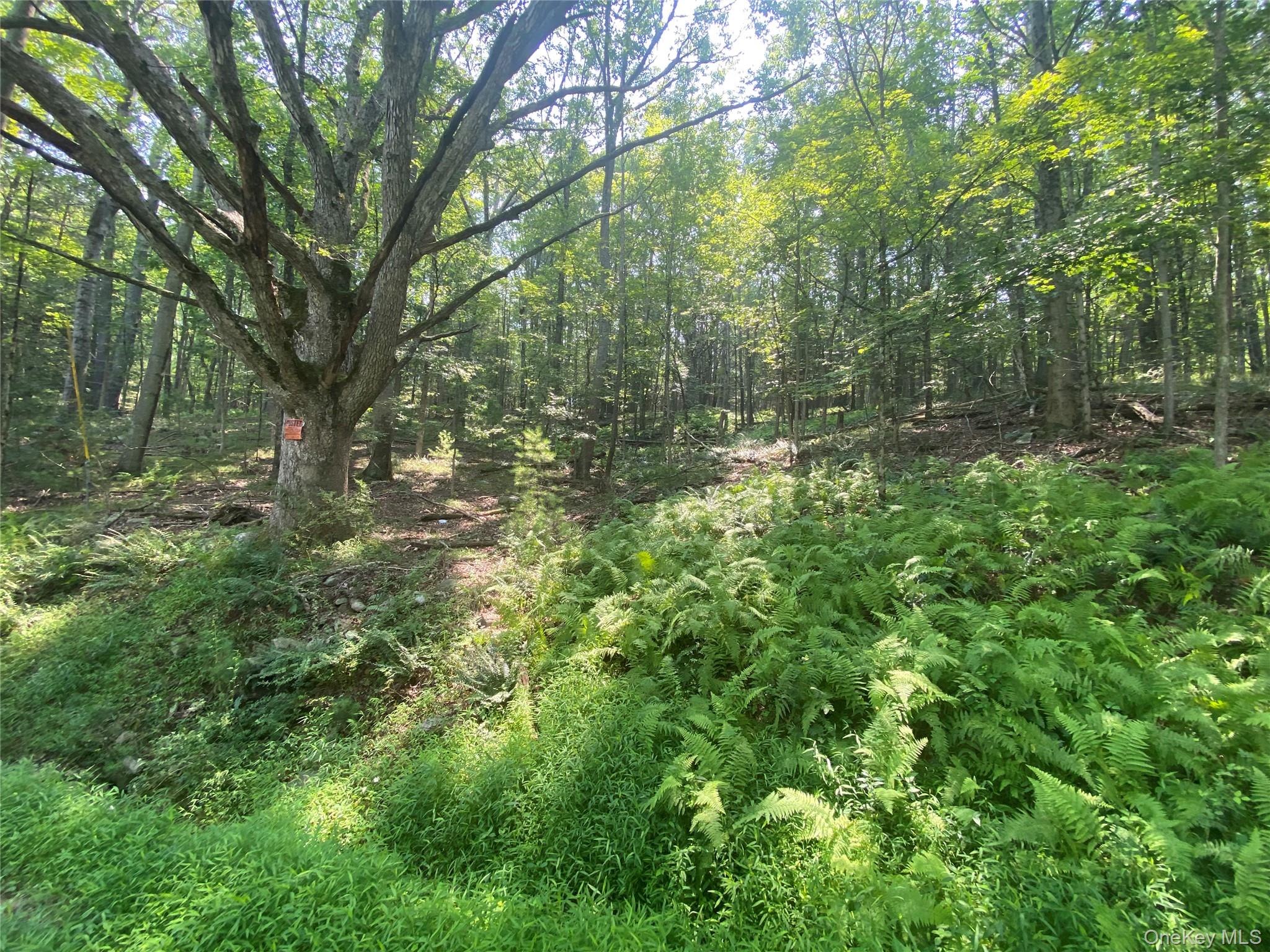 South Road Wurtsboro, NY 12790 - Photo 4 of 5 a view of outdoor space and yard