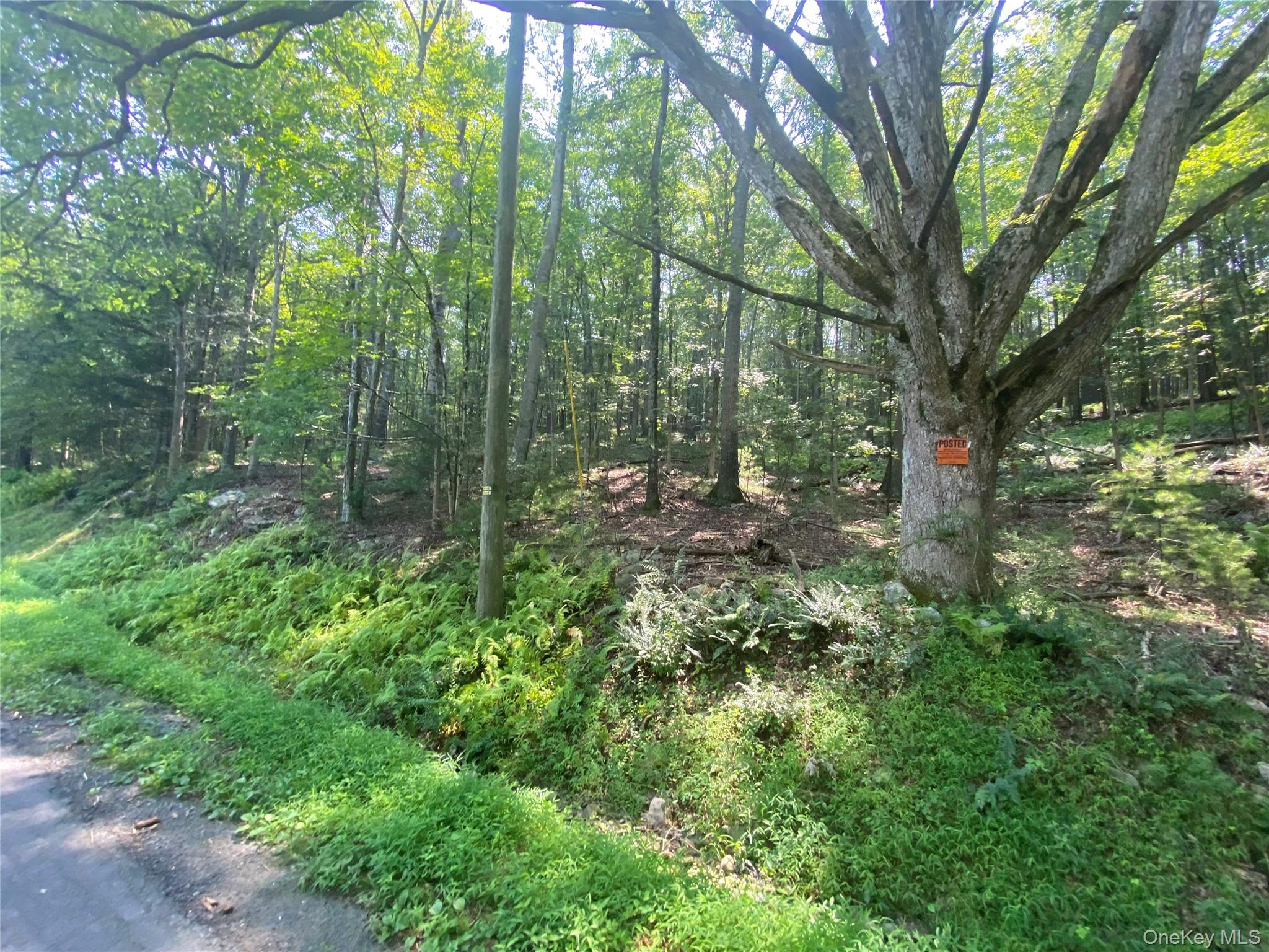 South Road Wurtsboro, NY 12790 - Photo 5 of 5 a view of outdoor space and trees
