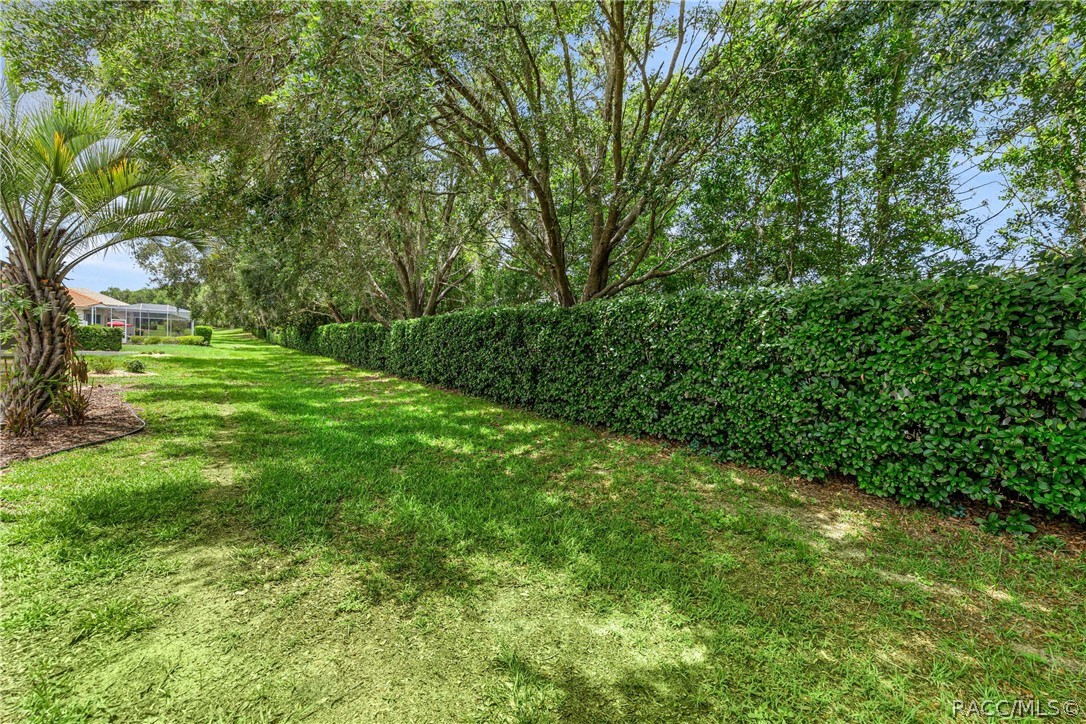 155 West Doerr Path Hernando, FL 34442 - Photo 50 of 76