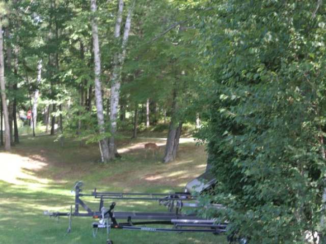 5347 Manor Road Rhinelander, WI 54501 - Photo 10 of 15 Gallery Image 10
