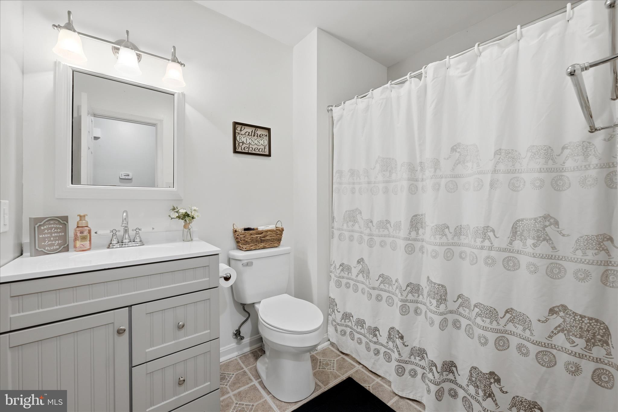 91 Granny Smith Road Linden, VA 22642 - Photo 26 of 65 a bathroom with a toilet a sink and a mirror