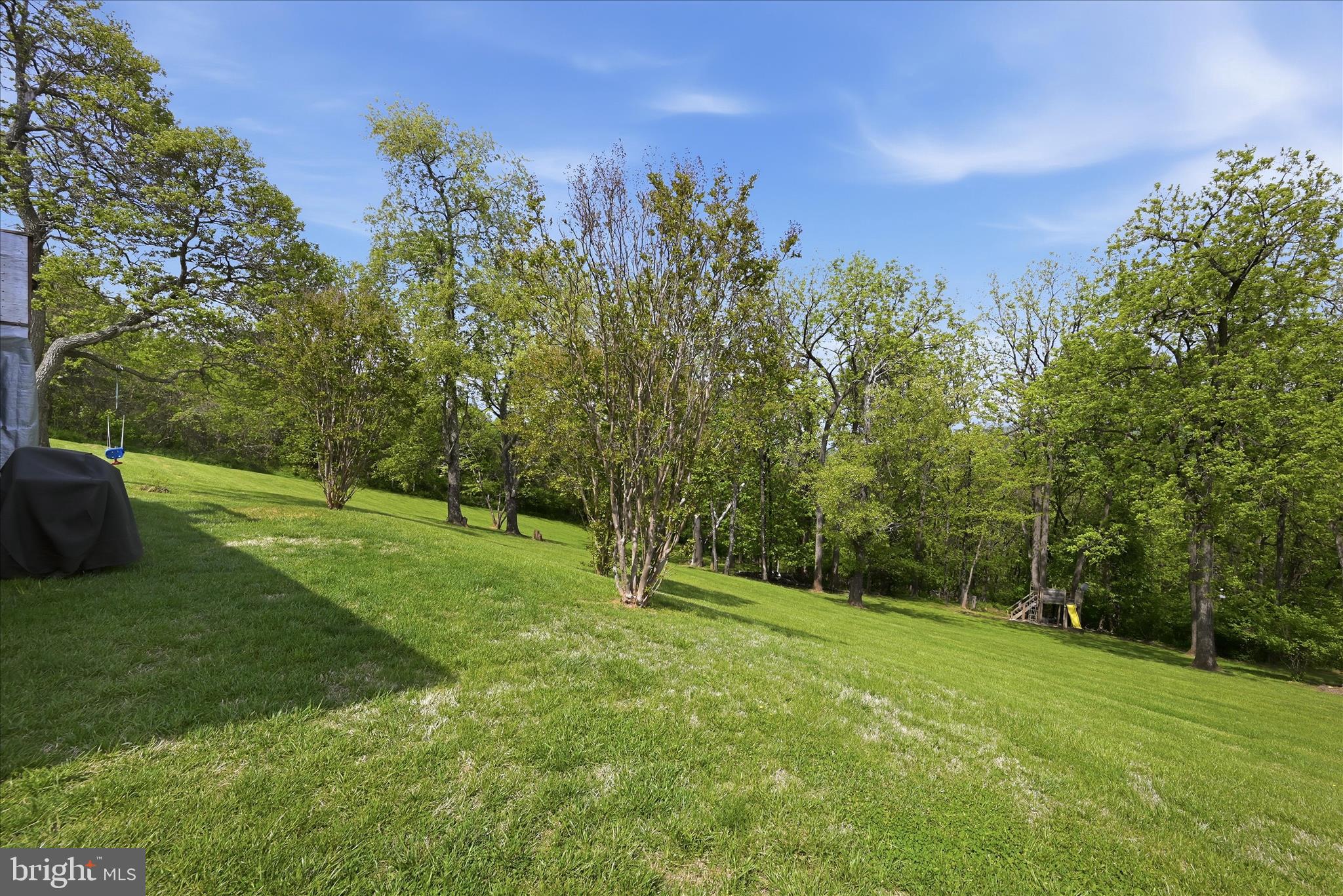 91 Granny Smith Road Linden, VA 22642 - Photo 37 of 65 a view of a field with a tree in the background