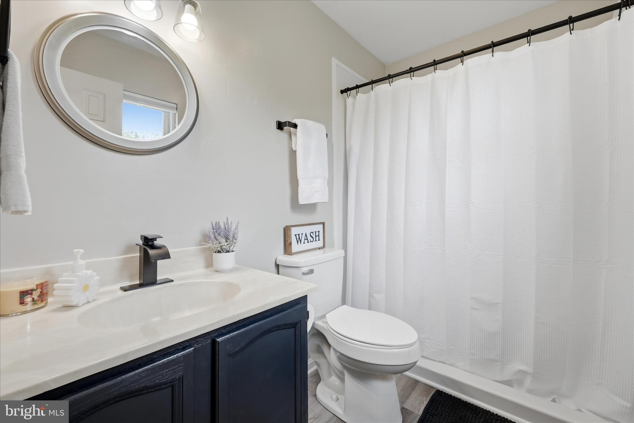 91 Granny Smith Road Linden, VA 22642 - Photo 10 of 65 a bathroom with a sink a toilet and a mirror