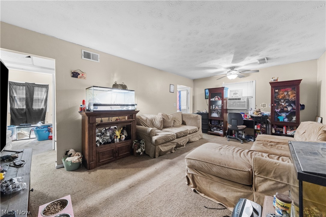 68-70 East Sunset Drive Rittman, OH 44270 - Photo 19 of 49 Carpeted living area featuring a ceiling fan with integrated lighting, neutral wall tones, and white trim