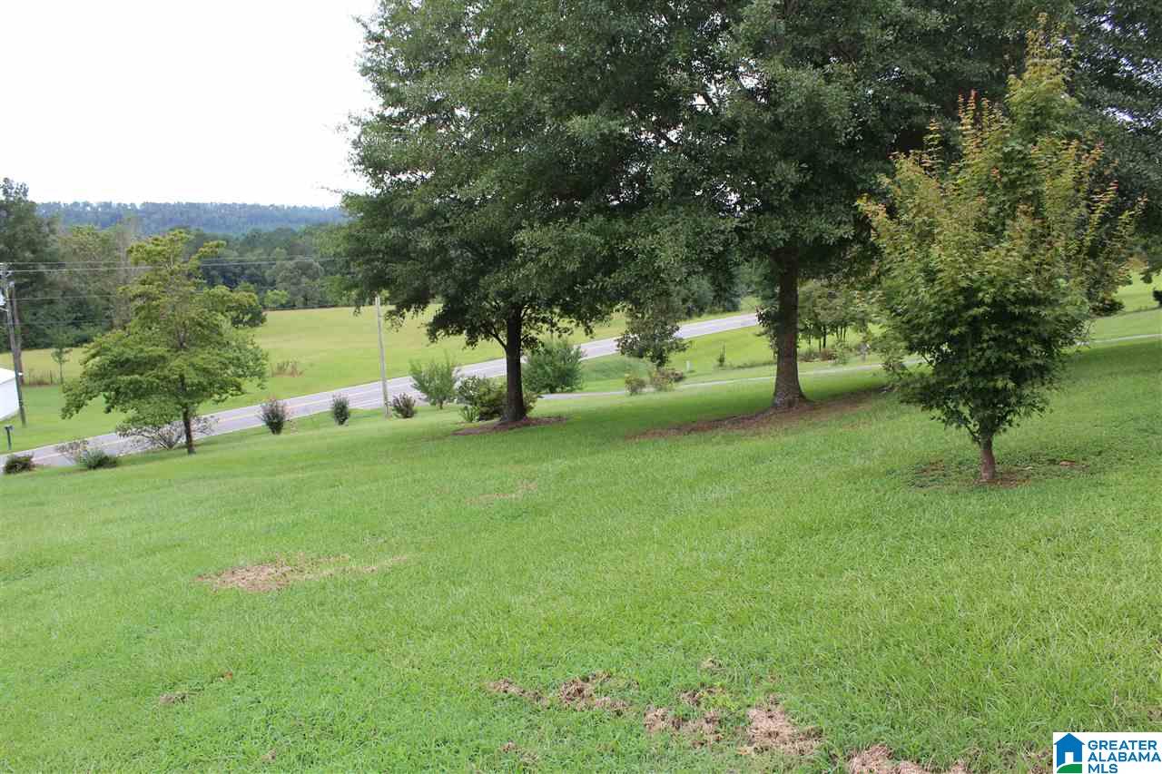 10359 Shoal Creek Road Ashville, AL 35953 - Photo 5 of 18