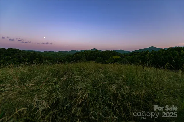 a view of a lake and green valley