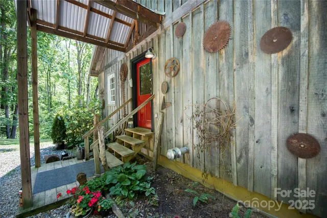 a view of a yard with plants