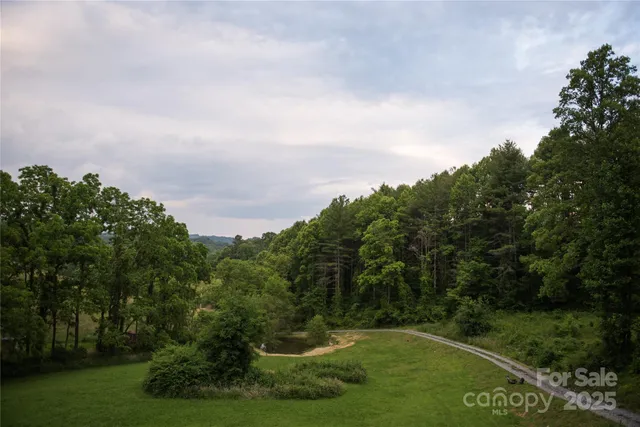 a view of a garden with a yard