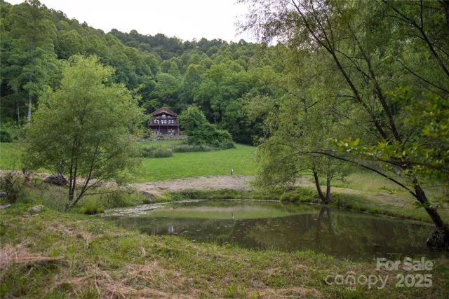 a view of a yard with an tree