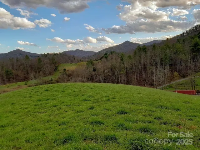 a view of a field with a tree