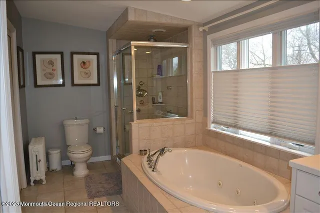 a bathroom with a bathtub and a toilet