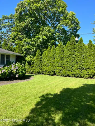 a view of a garden with a house