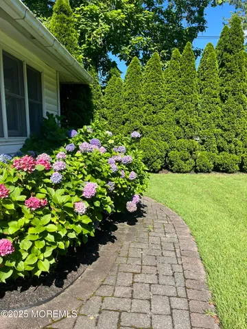 a view of a garden with flowers