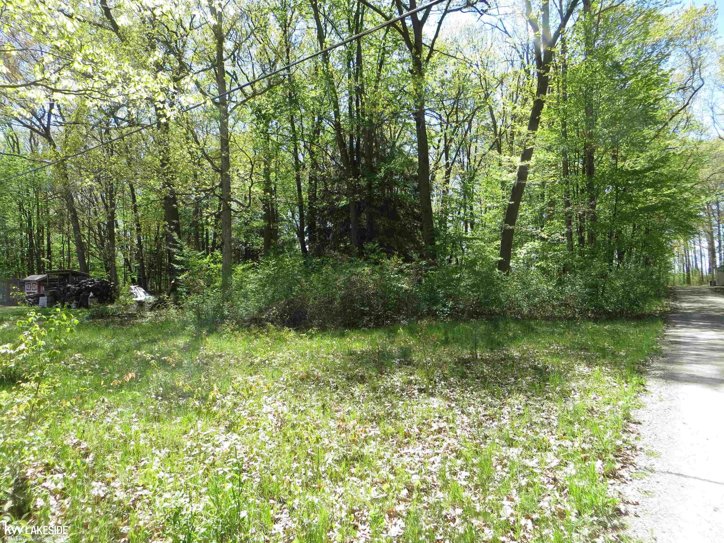 8772 Port Austin Road Pigeon, MI 48755 - Photo 2 of 7