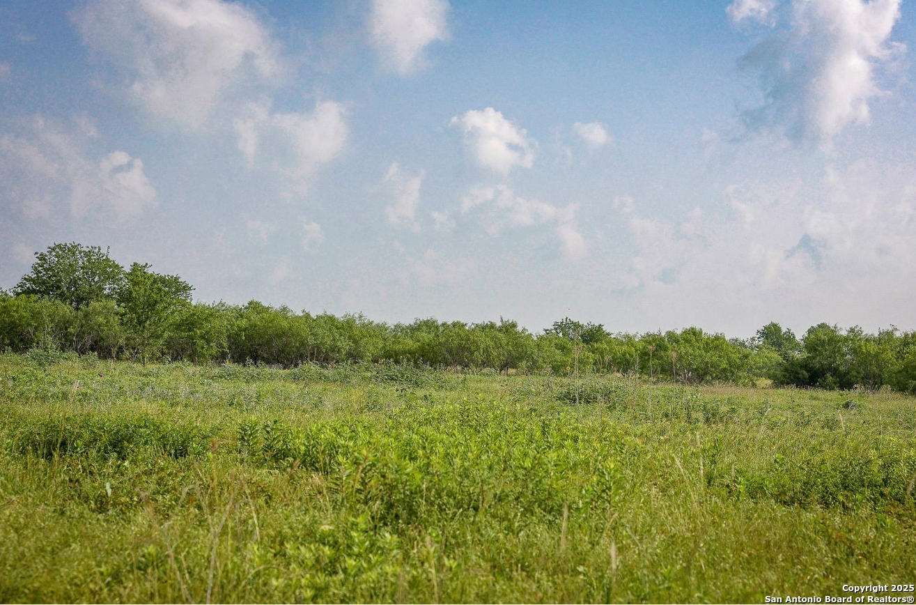 0 Th Rogers, TX 76569 - Photo 2 of 5 a view of a field of grass and trees