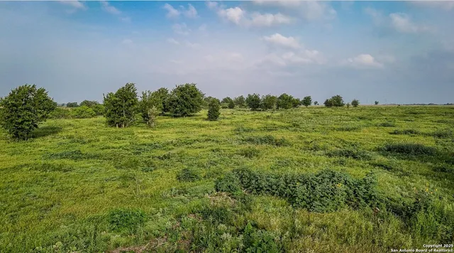 a view of a big yard with large trees