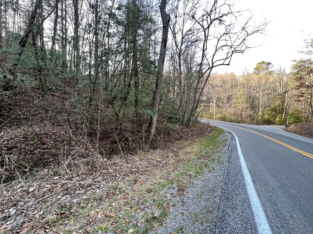 12-acre Pleasant Gap Road Ellijay, GA 30540 - Photo 12 of 28