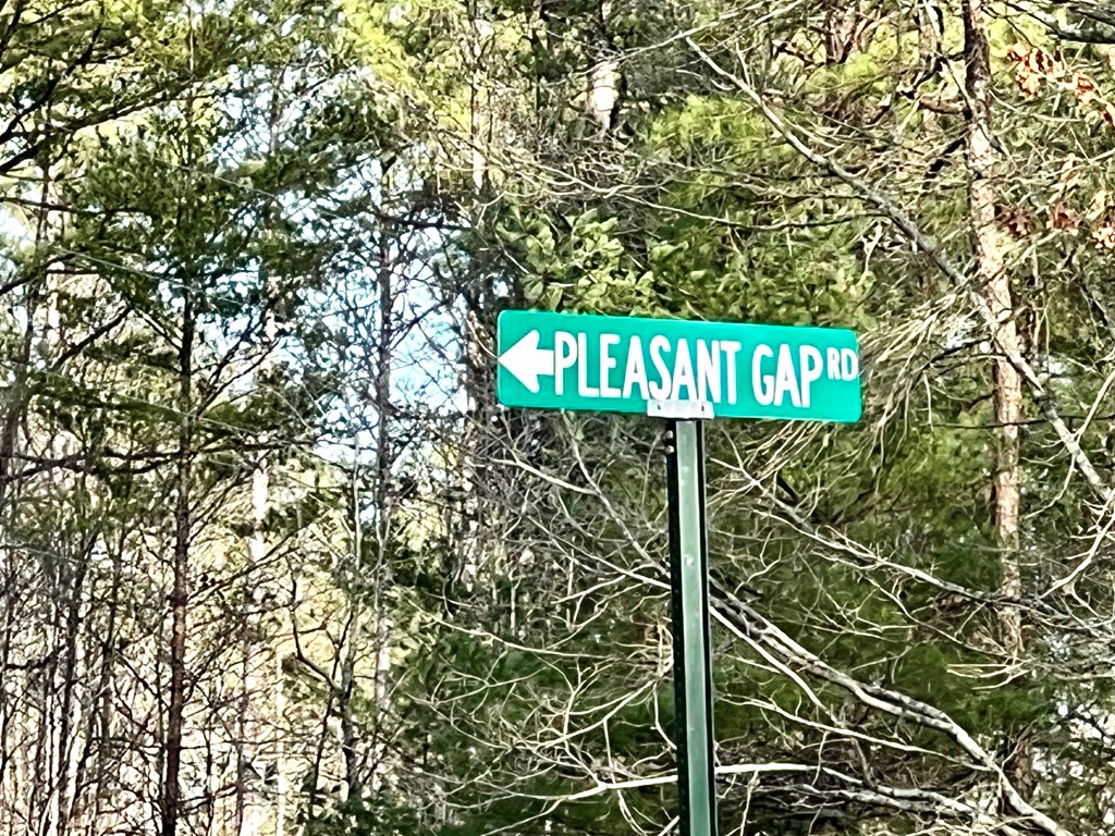 12-acre Pleasant Gap Road Ellijay, GA 30540 - Photo 13 of 28