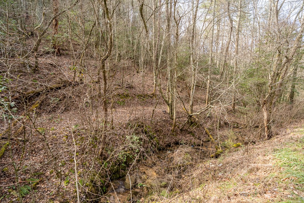 12-acre Pleasant Gap Road Ellijay, GA 30540 - Photo 20 of 28