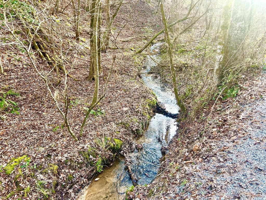 12-acre Pleasant Gap Road Ellijay, GA 30540 - Photo 2 of 28