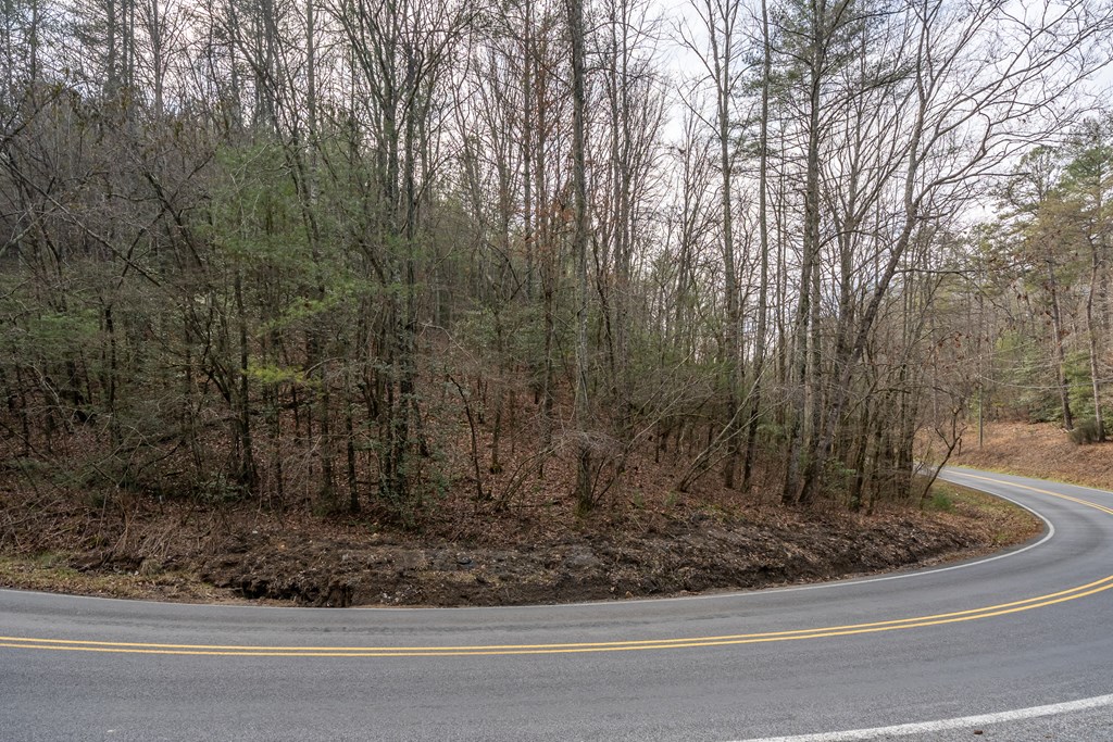 12-acre Pleasant Gap Road Ellijay, GA 30540 - Photo 21 of 28