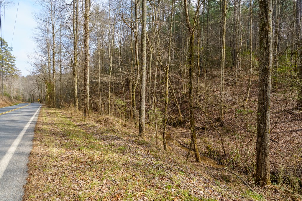 12-acre Pleasant Gap Road Ellijay, GA 30540 - Photo 22 of 28
