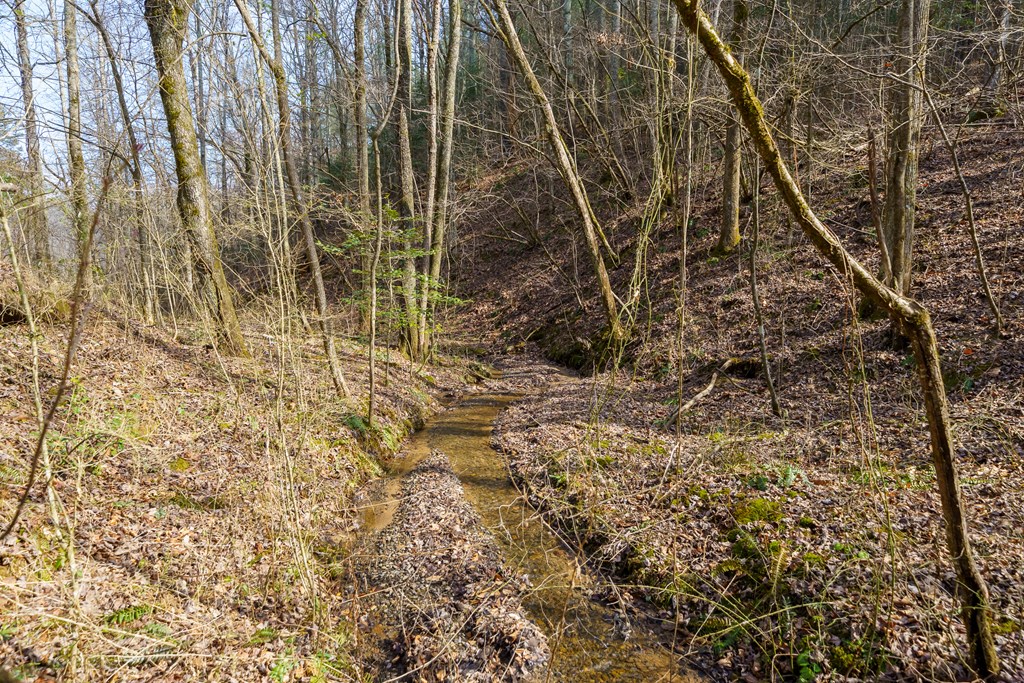12-acre Pleasant Gap Road Ellijay, GA 30540 - Photo 23 of 28