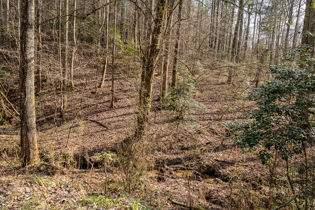 12-acre Pleasant Gap Road Ellijay, GA 30540 - Photo 28 of 28