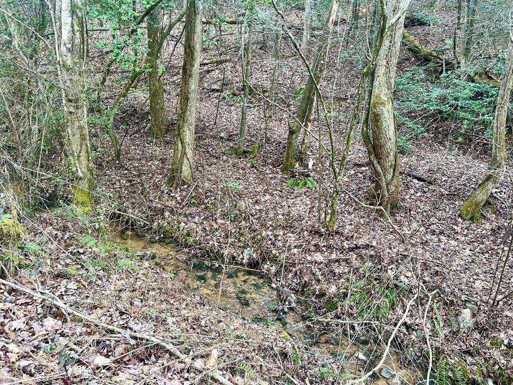 12-acre Pleasant Gap Road Ellijay, GA 30540 - Photo 9 of 28