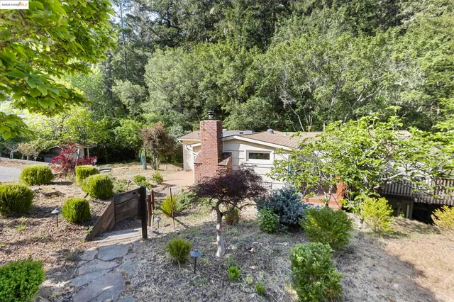 a view of a garden with plants and large trees