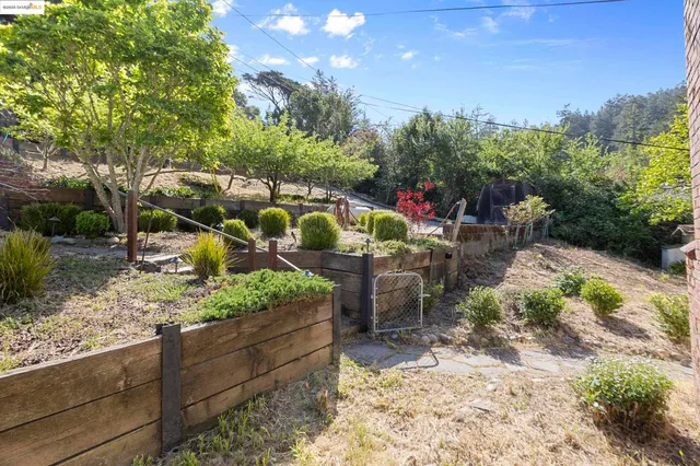 a view of outdoor space yard and patio