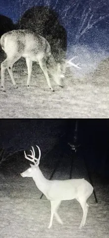 a view of a bathroom with a sink