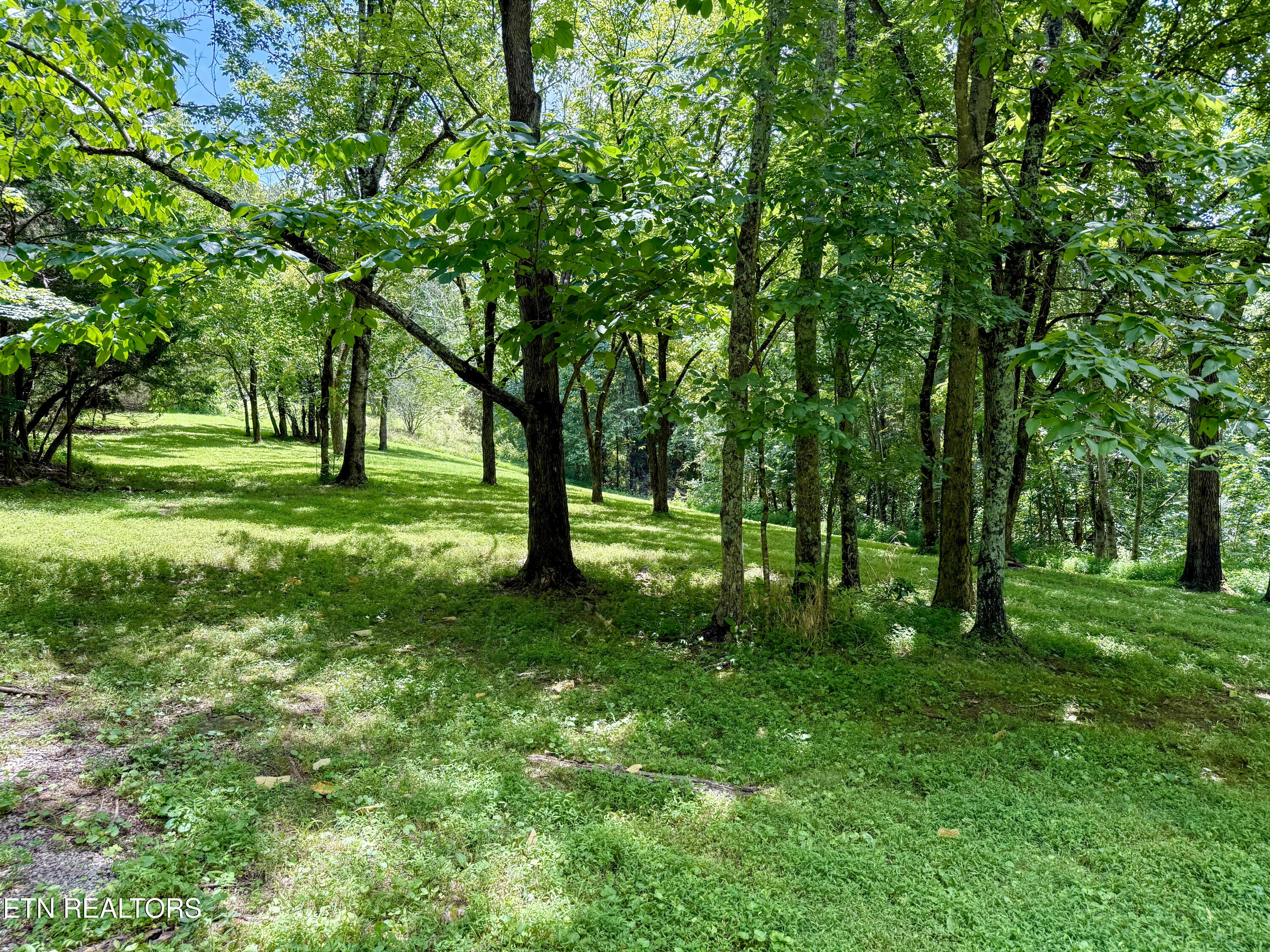 676 Sunny Point Road Baxter, TN 38544 - Photo 28 of 38 Yard