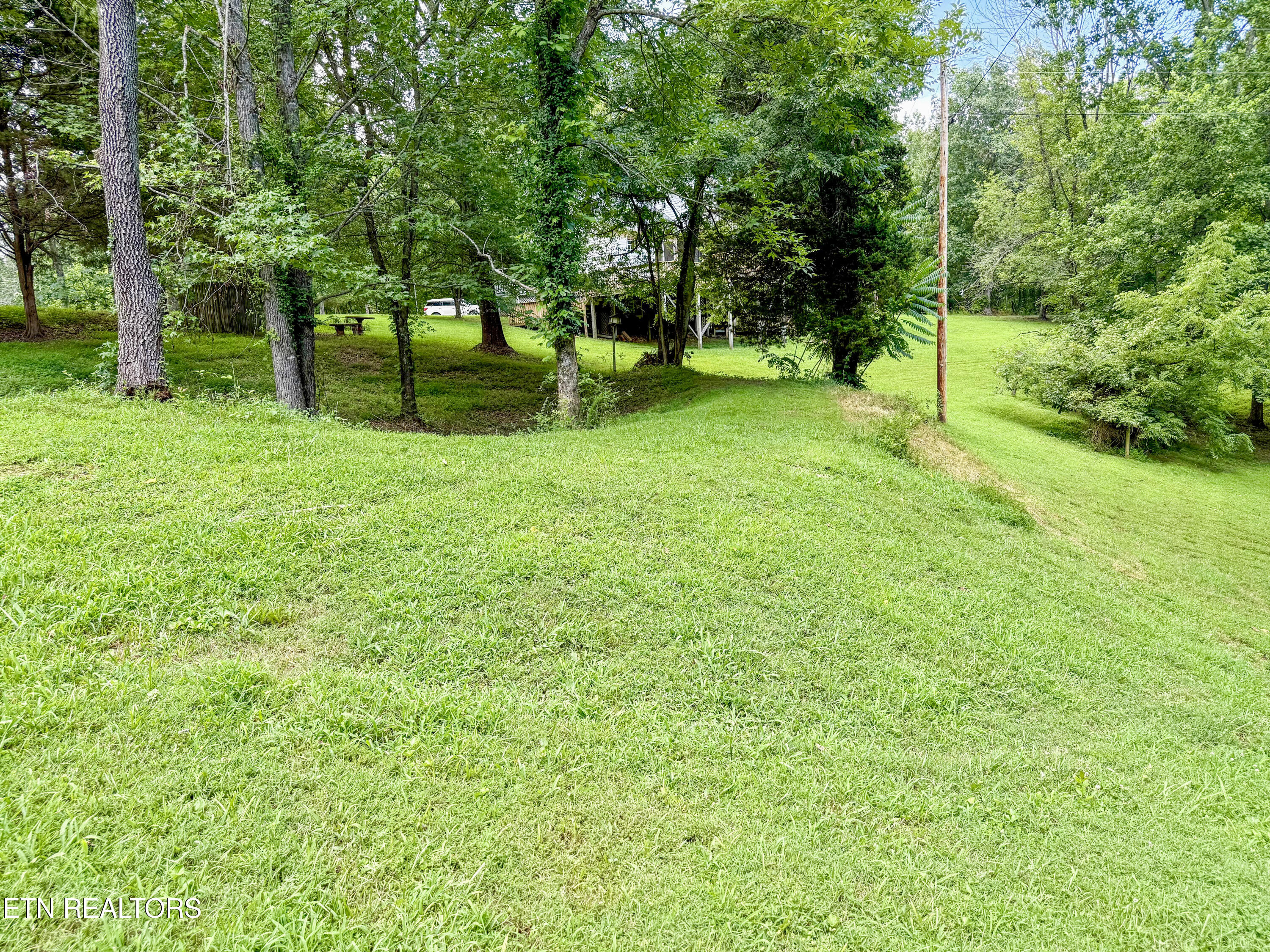 676 Sunny Point Road Baxter, TN 38544 - Photo 30 of 38 Yard (Pond used to be there)