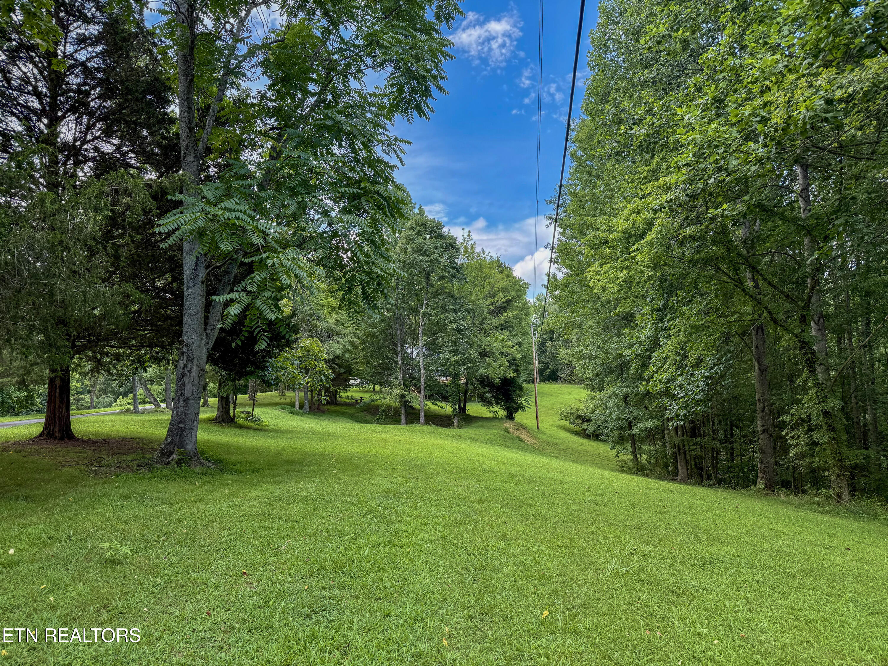 676 Sunny Point Road Baxter, TN 38544 - Photo 31 of 38 Yard