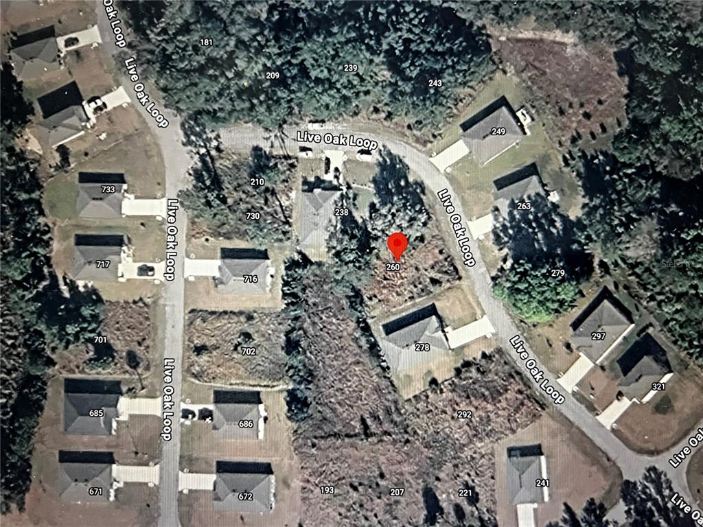 260 Live Oak Loop Crescent City, FL 32112 - Photo 15 of 18