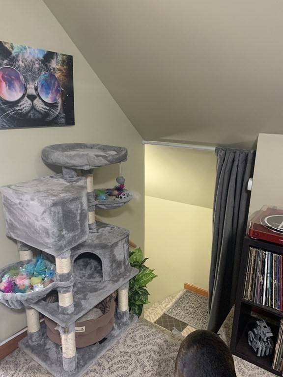 25 Canton Street Lowell, MA 01851 - Photo 31 of 42