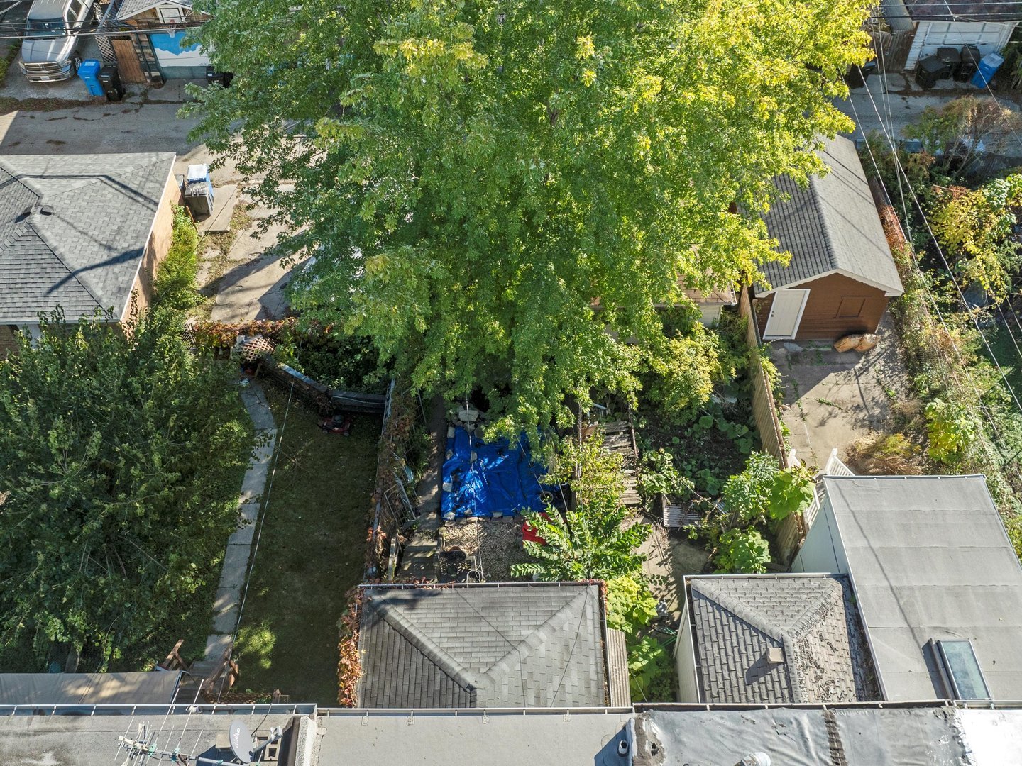 11349 South St Lawrence Avenue, Unit ROWHSE Chicago, IL 60628 - Photo 20 of 22 front view of a house with a tree