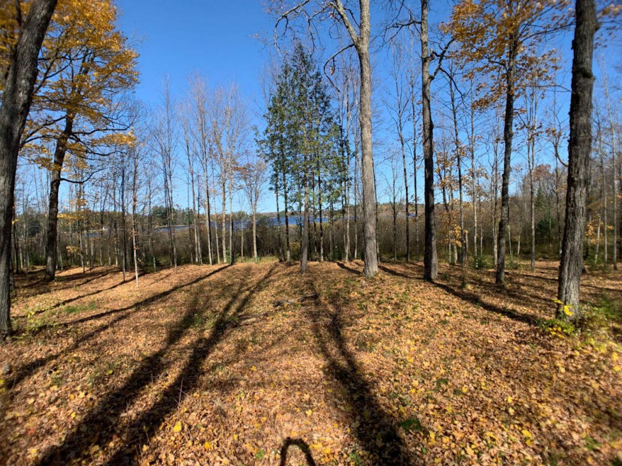 Lot2 Lot2 Cth Ff Mercer, WI 54547 - Photo 8 of 29 Gallery Image 8