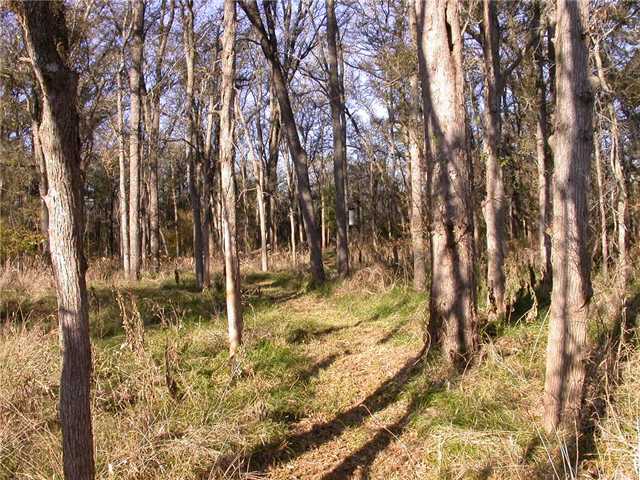 0 League Line Road Smithville, TX 78957 - Photo 1 of 1 Gallery Image 1
