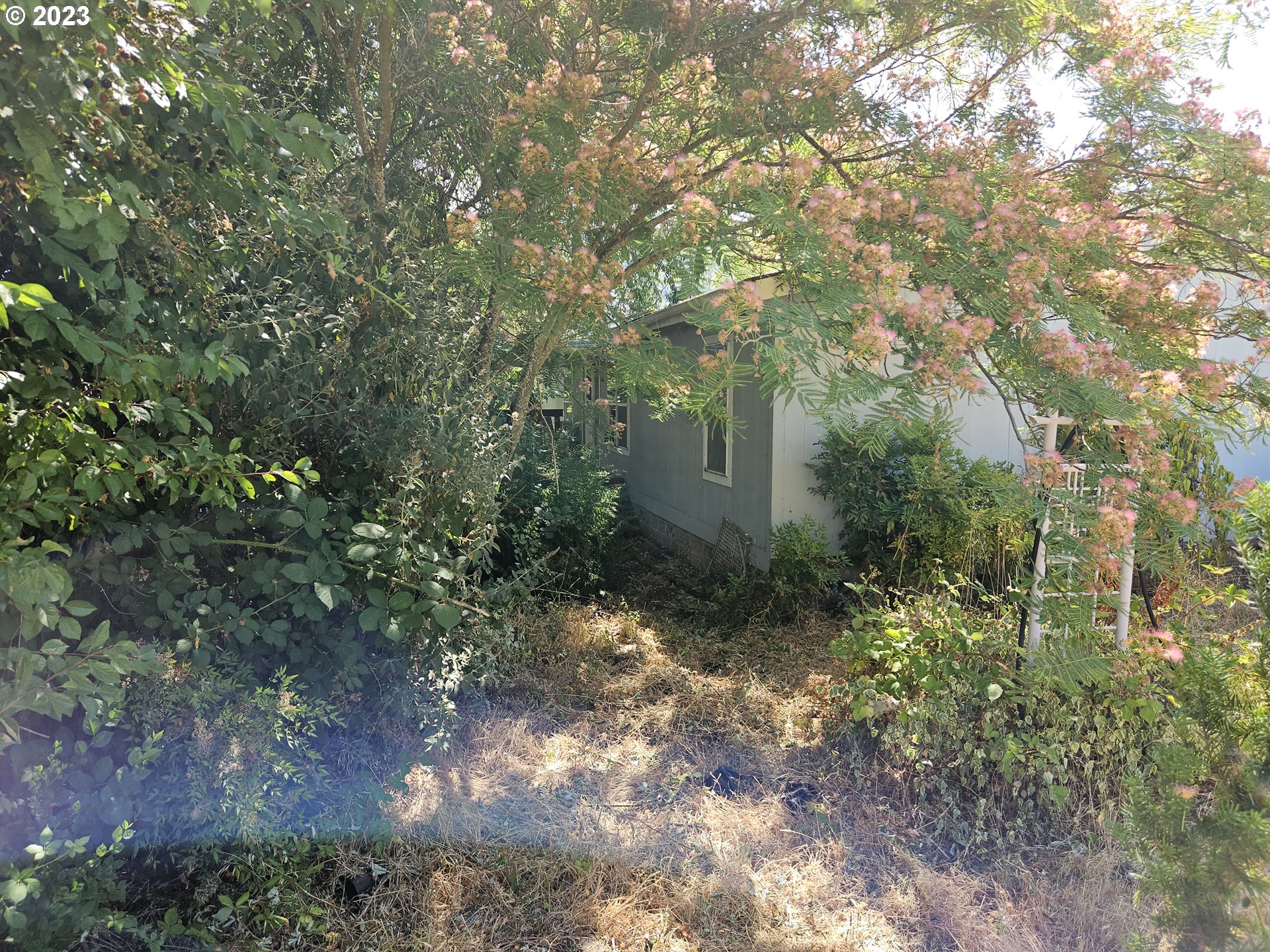 1640 Winston Section Road Winston, OR 97496 - Photo 5 of 20 Gallery Image 5
