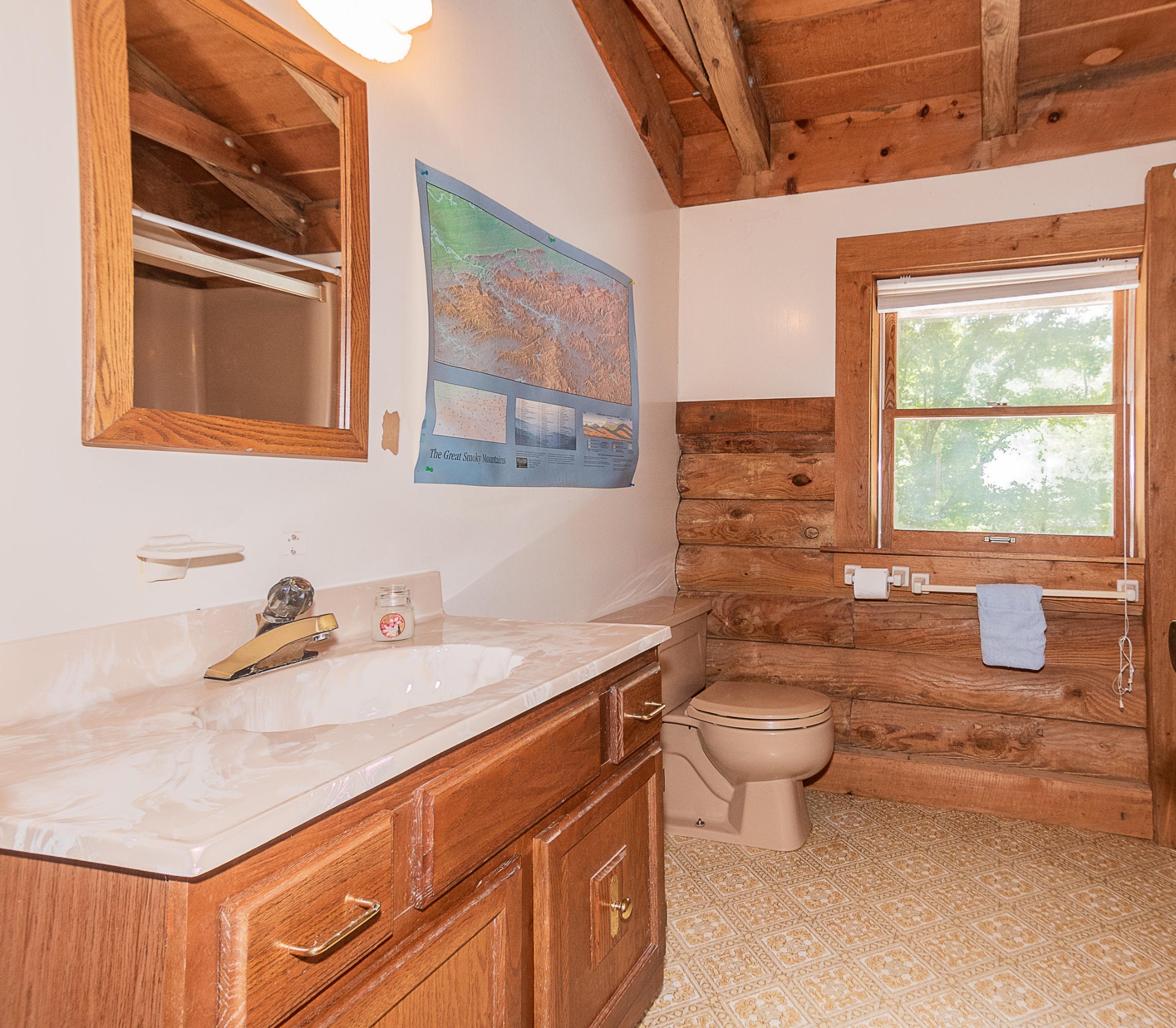 1224 Chavis Road Cosby, TN 37722 - Photo 22 of 40 Gallery Image 22