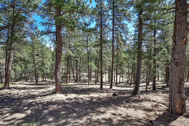 $69,000 | 860 Spring Valley Drive, Divide, CO 80814