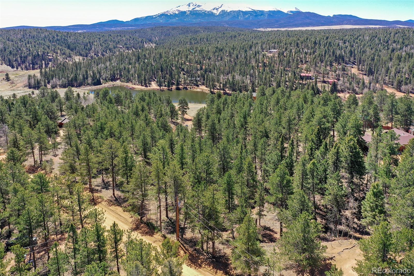 860 Spring Valley Drive Divide, CO 80814 - Photo 11 of 14