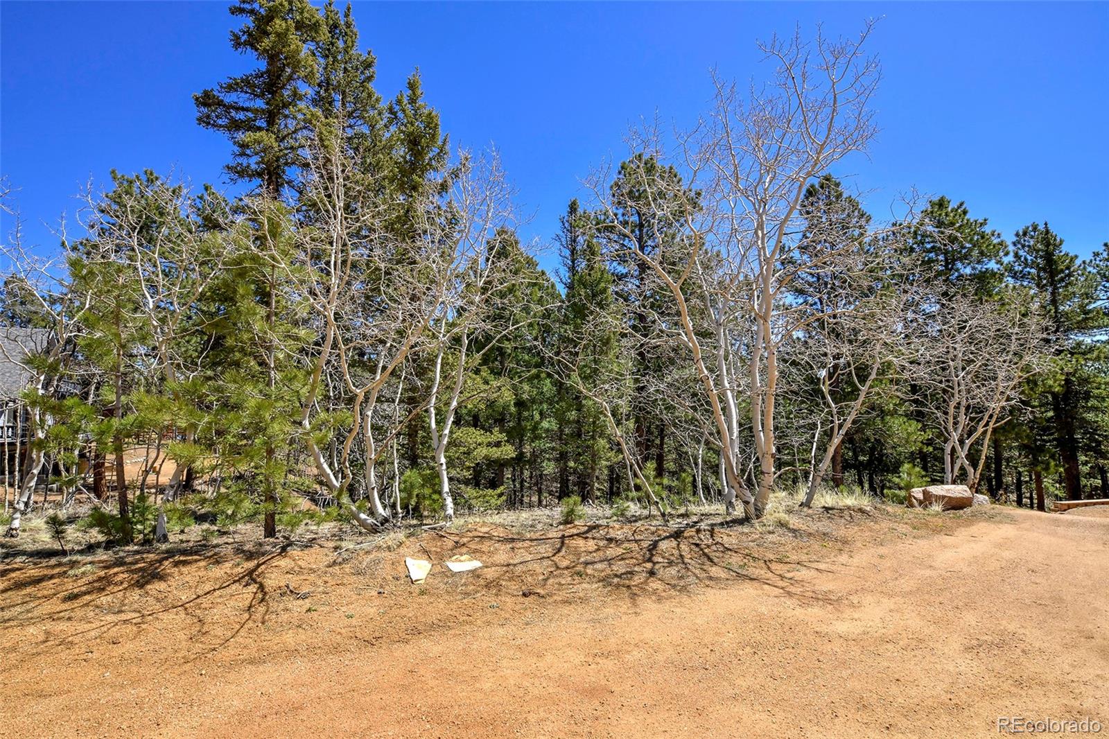 860 Spring Valley Drive Divide, CO 80814 - Photo 4 of 14