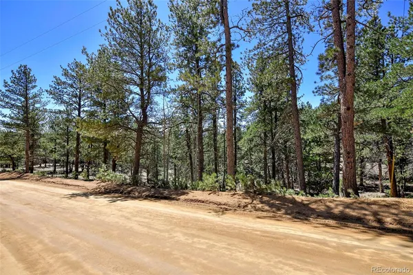 $69,000 | 860 Spring Valley Drive, Divide, CO 80814